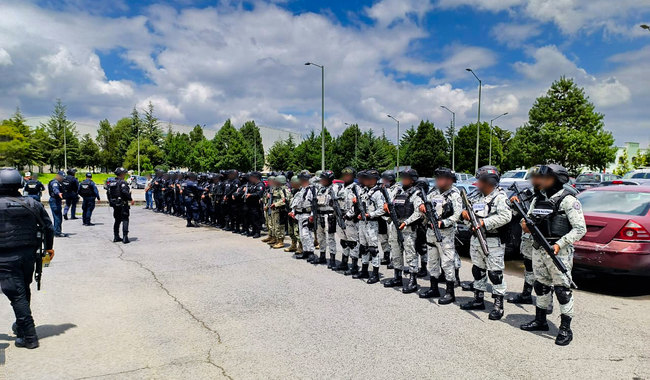 Profepa asegura 22 rollos de madera de oyamel durante operativo contra la tala en Ocuilan