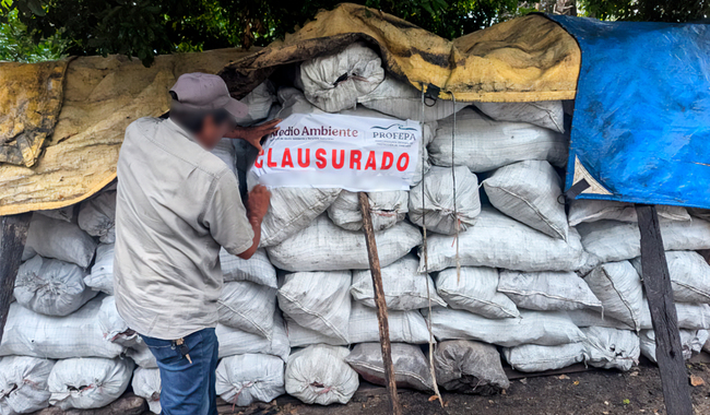Profepa clausura carbonería en Campeche, por no acreditar origen legal de 4.6 ton de carbón