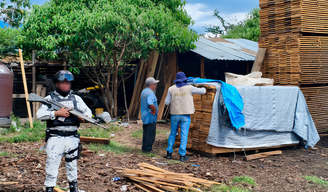 Profepa coordina operativo de inspección a aserraderos en las 32 entidades