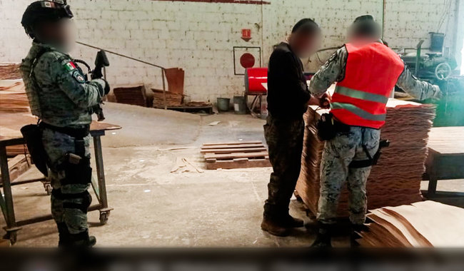 Profepa clausura un aserradero por irregularidades en Escárcega, Campeche; aseguran maquinaria