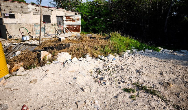 Profepa impone clausura a dos predios en Chicxulub Puerto por relleno de manglares