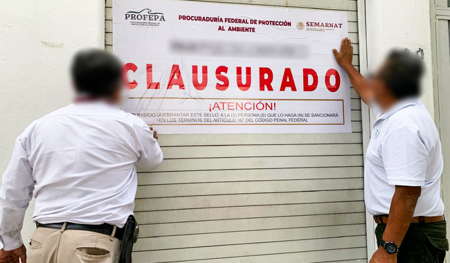 Profepa clausura tienda de artículos elaborados con partes de animales silvestres
