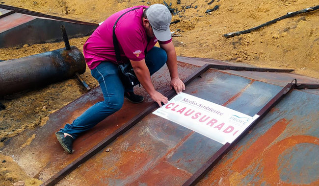 Profepa clausura carbonería ilegal en Campeche