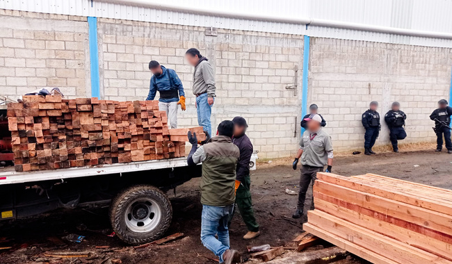 Profepa clausura dos aserraderos y una carpintería clandestinos en Xalatlaco, Estado de México