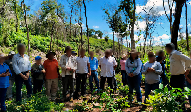 Profepa fortalece la protección del jaguar en Yucatán