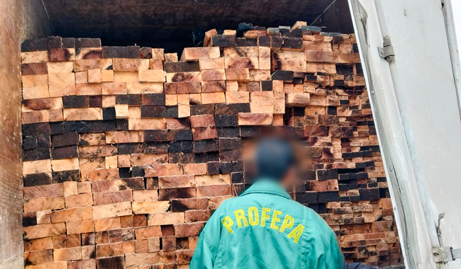 Profepa coadyuva con la Guardia Nacional en el aseguramiento de dos vehículos con madera ilegal en Huitzilac, Morelos