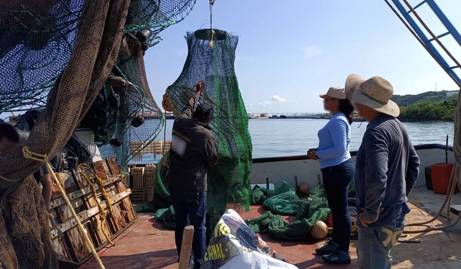 Profepa verifica el uso correcto de Dispositivos Excluidores de Tortugas Marinas en embarcaciones camaroneras de Campeche