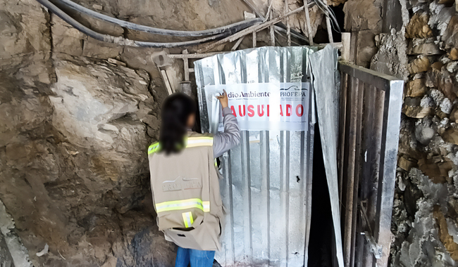 Profepa clausura mina ilegal de mercurio en la Sierra Gorda de Querétaro