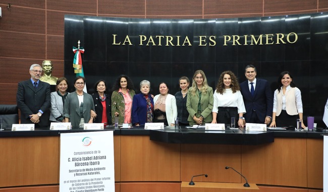 Secretaria Alicia Bárcena presenta ante el Senado ambiciosa agenda ambiental