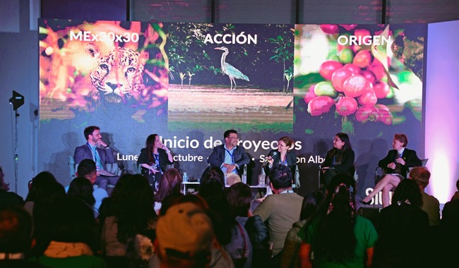 México celebra el lanzamiento de tres proyectos clave para la conservación de la biodiversidad rumbo al 2030