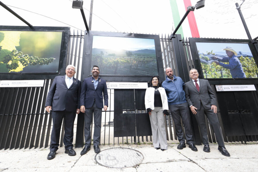 La industria del vino, motor de desarrollo y generador de empleos: senador Ayala Robles