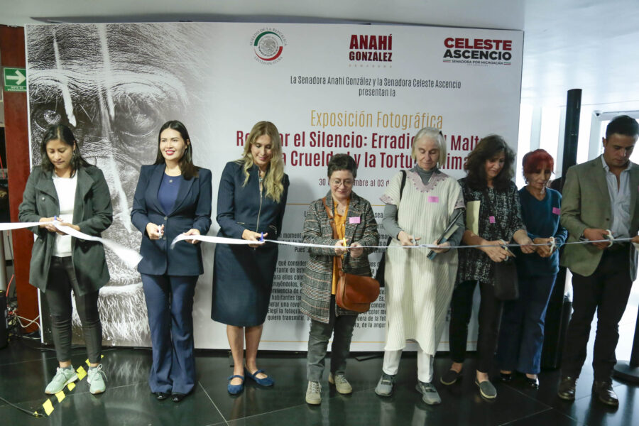 Llama Anahí González a erradicar el maltrato, la crueldad y la tortura contra los animales