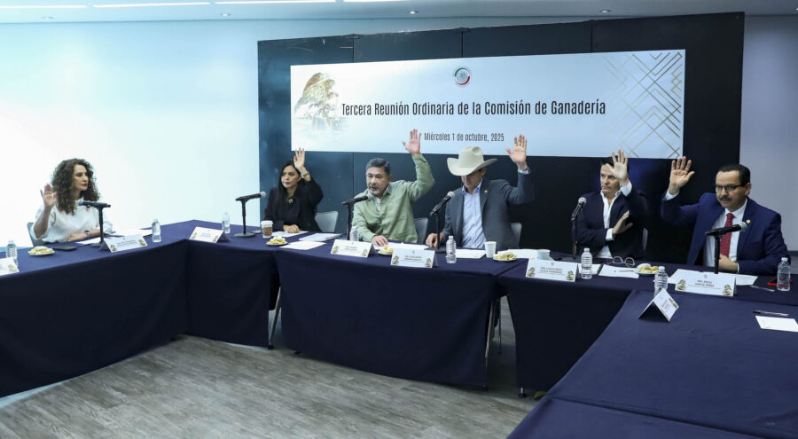 Senadores se comprometen a apoyar al sector ganadero ante presencia del gusano barrenador