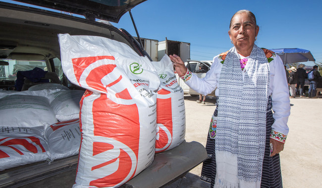 AGRICULTURA rebasa metas 2025 de Fertilizantes para el Bienestar: más apoyo directo al campo