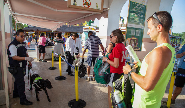 En vacaciones de invierno, AGRICULTURA fortalece controles en puertos, aeropuertos y fronteras, para proteger la sanidad agroalimentaria
