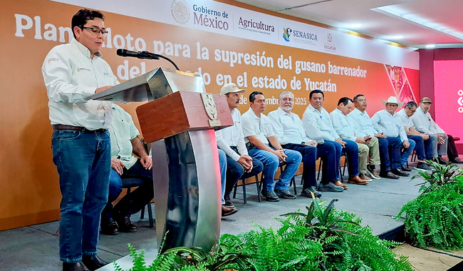 Activa AGRICULTURA Plan Piloto contra el gusano barrenador del ganado en Yucatán