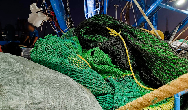 Por no usar el dispositivo excluidor de tortugas, Profepa asegura embarcación y le retira certificado, en Topolobampo, Sinaloa