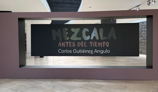INVITA GOBIERNO DEL EDOMÉX A DESCUBRIR EL ARTE ANCESTRAL EN LA EXPOSICIÓN “MEZCALA. ANTES DEL TIEMPO”