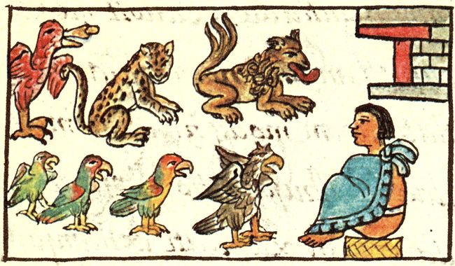 NOVEDAD EDITORIAL INDAGA SOBRE EL CAUTIVERIO DE ANIMALES EN TENOCHTITLAN