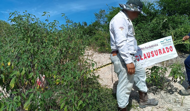 Clausura Profepa predio utilizado de forma ilegal por proyecto minero de Holcim, en Calakmul