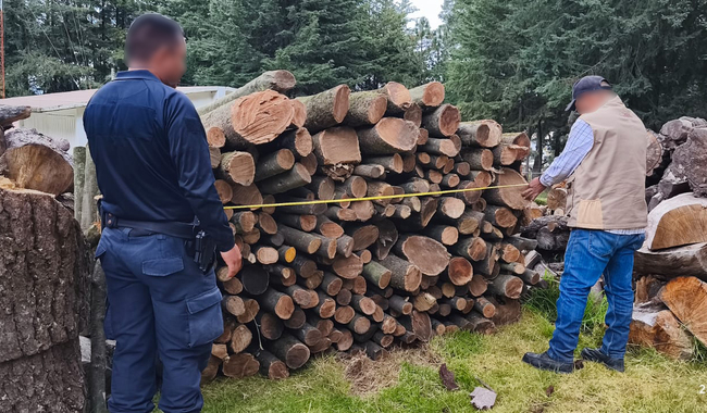 Profepa desmantela horno de carbón y asegura madera en inmediaciones del Parque Nacional La Malinche