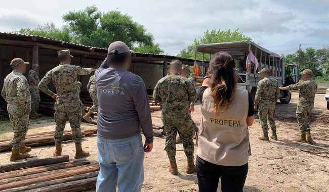 Profepa dona madera asegurada para fortalecer infraestructura de la Semar en BCS