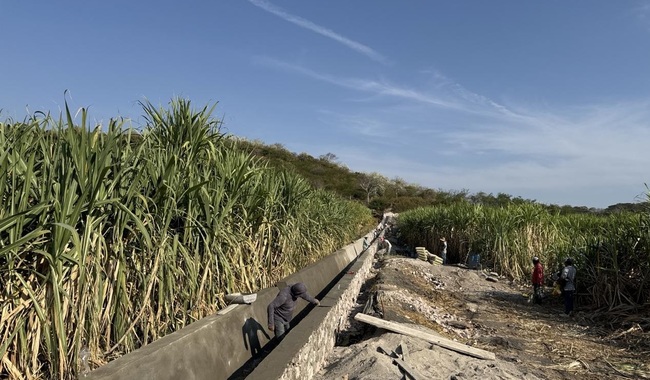 Conagua tecnifica más de 2 mil 300 hectáreas del DR 016 Estado de Morelos, para hacer más eficiente el uso del agua en el campo