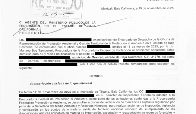 Presenta Profepa denuncia ante la FGR por tráfico de 774 tortugas