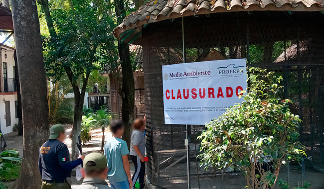 Reubica Profepa a 41 ejemplares que presentaban estrés y peso bajo, en Morelos