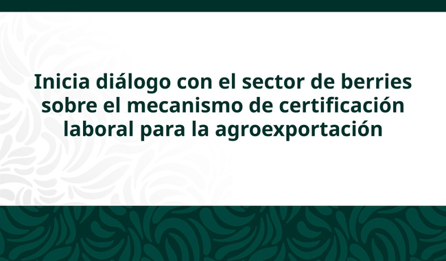 Inicia diálogo con el sector de berries sobre el mecanismo de certificación laboral para la agroexportación