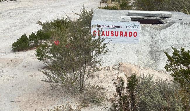 Profepa clausura obras y actividades en Coahuila, por cambio de uso de suelo en terrenos forestales sin autorización