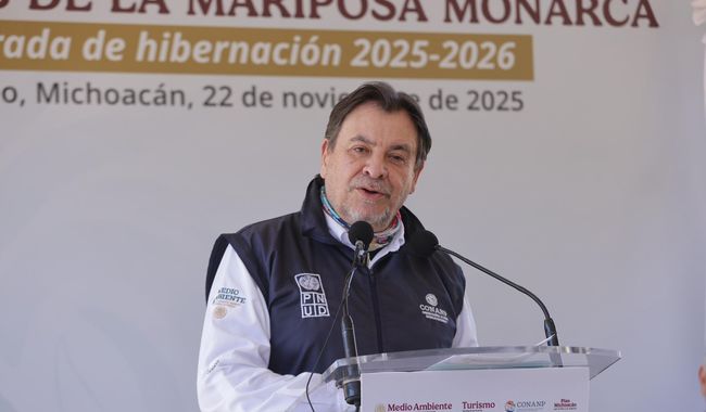 Semarnat, Conanp y gobierno de Michoacán aperturan santuarios de mariposa monarca