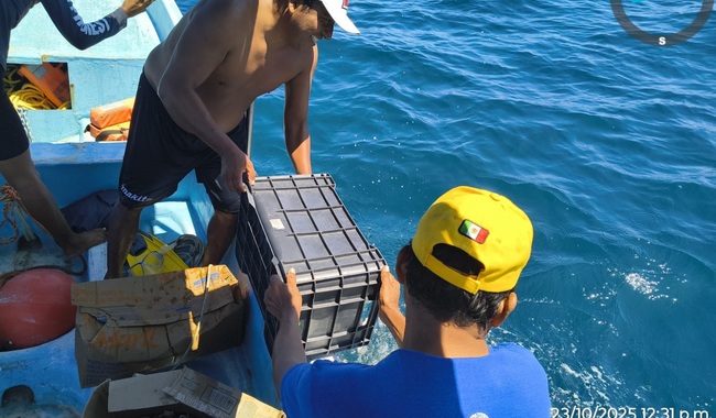 La Conanp libera subproductos marinos en el Parque Nacional Huatulco