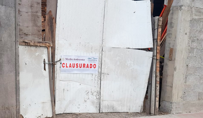 Por operar sin autorización, Profepa clausura aserradero y asegura madera en Estado de México