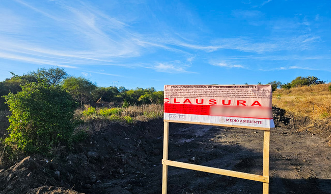 Profepa clausura predio en Querétaro por remover de forma ilegal vegetación en más de 28 mil metros cuadrados
