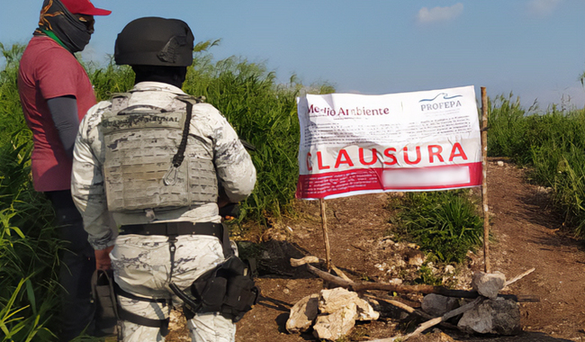 Profepa impone cuatro clausuras en Campeche por obras y cambios de uso de suelo sin autorización ambiental