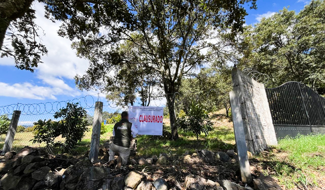 Por cambio de uso de suelo ilegal, Profepa clausura predio en zona de influencia de la Reserva de la Biosfera Mariposa Monarca