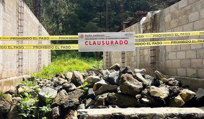 Profepa clausura obras por cambio ilegal de uso de suelo en Texcalyacac, Estado de México