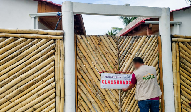 Profepa clausura construcción ilegal en ecosistema costero de Centla, Tabasco