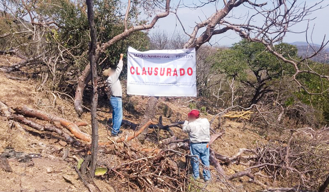 Profepa clausura predio por cambio de uso de suelo sin autorización en Morelos