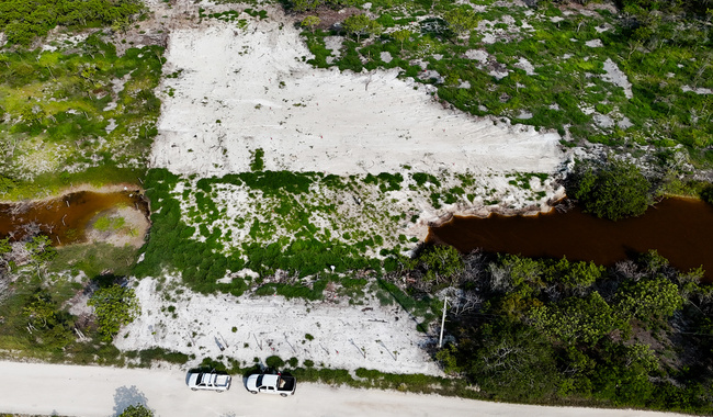 Impone Profepa clausura a 3 predios por cambio ilegal de uso de suelo en la Reserva de la Biosfera Ría Celestún, en Yucatán