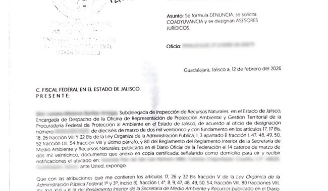 Presenta Profepa denuncia penal por posesión de ejemplar de mono araña en Ocotlán, Estado de  Jalisco