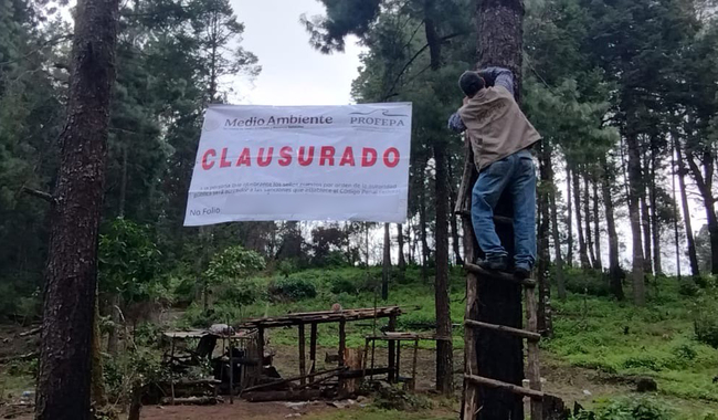 Por cambios ilegales de uso de suelo, Profepa clausura tres predios en Tetela del Volcán, Morelos