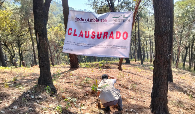 Clausura Profepa dos predios por cambio de uso de suelo ilegal en el Bosque de Agua
