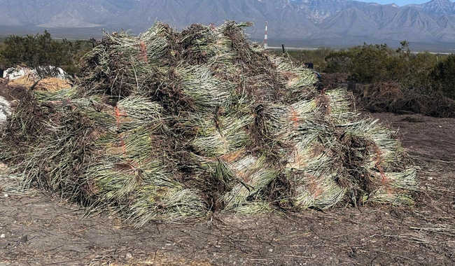 Refuerza Profepa acciones de vigilancia ambiental en Coahuila