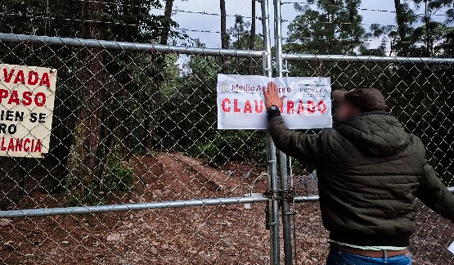 Profepa clausura dos obras ilegales y asegura madera en ANP de Edomex
