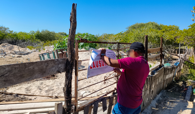 Profepa verifica predios clausurados en Chelem, Yucatán; repone sellos, asegura maquinaria y clausura otro terreno deforestado