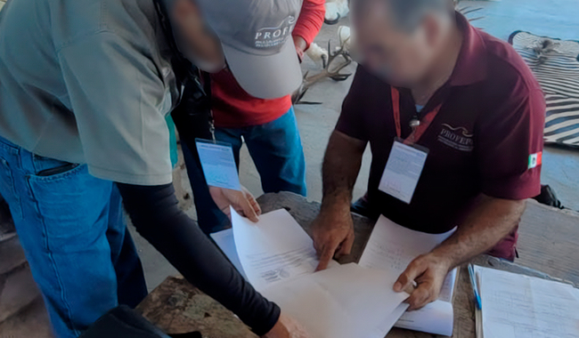 Profepa asegura 15 piezas de taxidermia ilegales en Baja California Sur