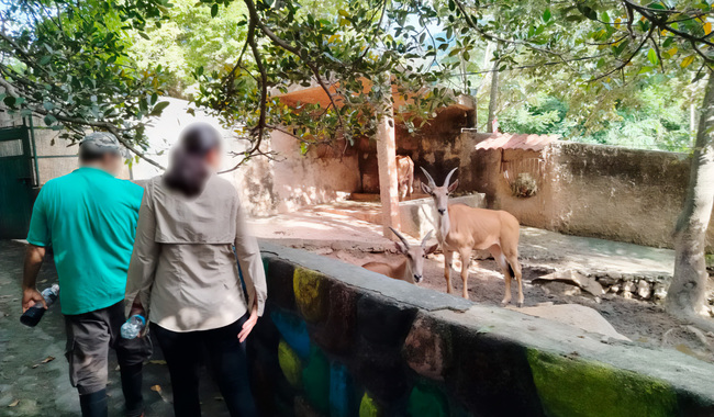 Profepa verifica condiciones del Zoológico de Puerto Vallarta y confirma buen estado de los ejemplares