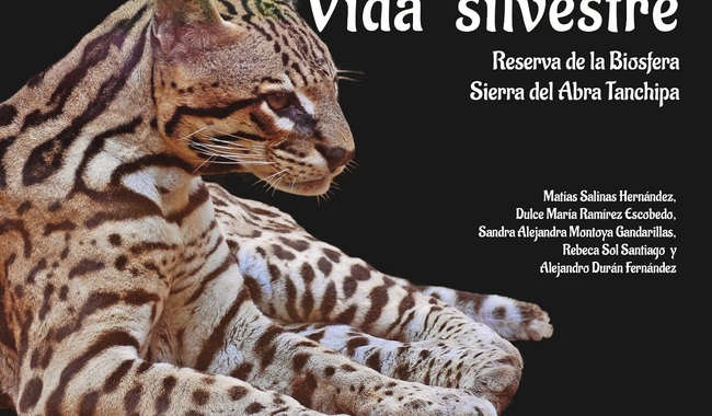 Conanp presentó el libro “Vida Silvestre: Reserva de la Biosfera del Abra Tanchipa”